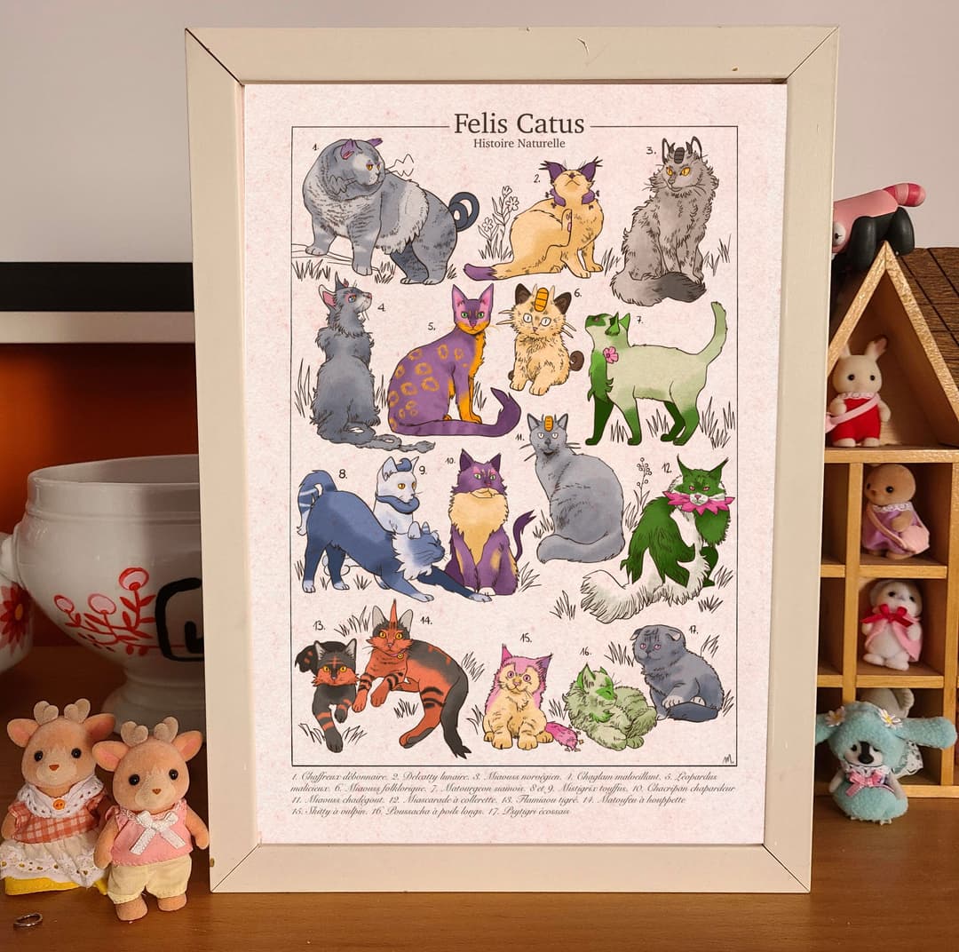 Encyclopedic cats